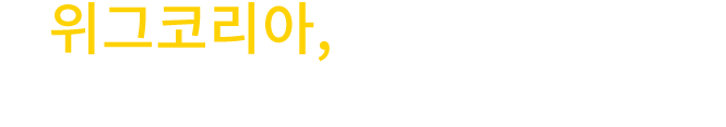 울릉도 관광객 100만 시대의 견인차, 위그코리아